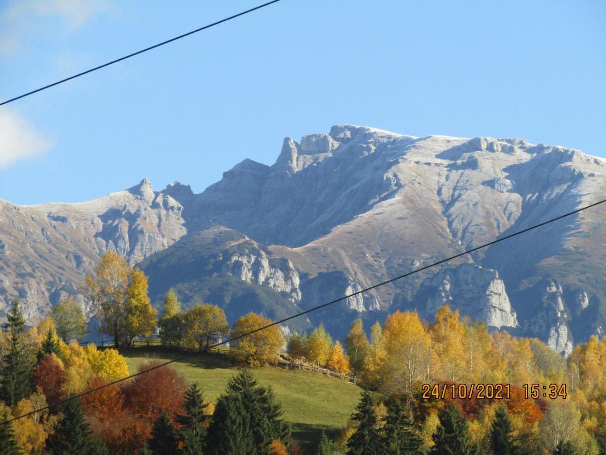 Ograda De La Munte Villa Bran  Bagian luar foto
