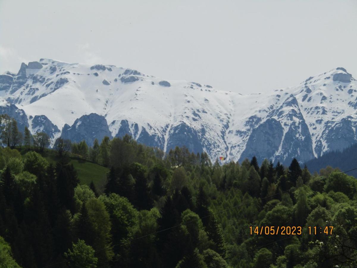 Ograda De La Munte Villa Bran  Bagian luar foto