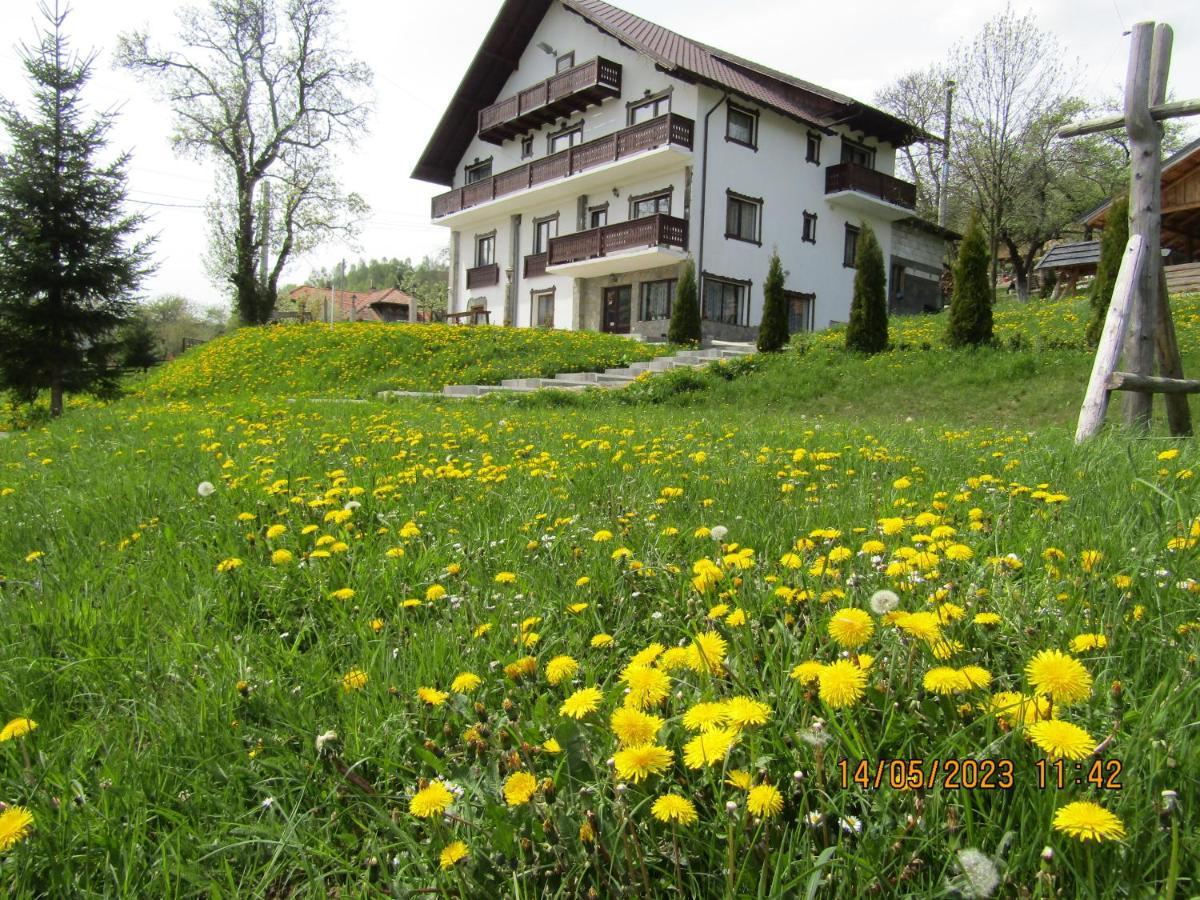 Ograda De La Munte Villa Bran  Bagian luar foto