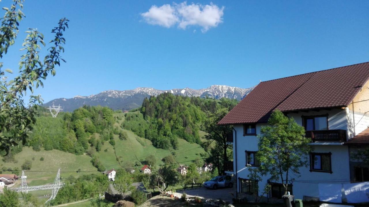 Ograda De La Munte Villa Bran  Bagian luar foto